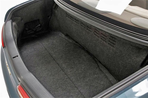 Protect Interior Vehicle Sanitizing Trunk Area